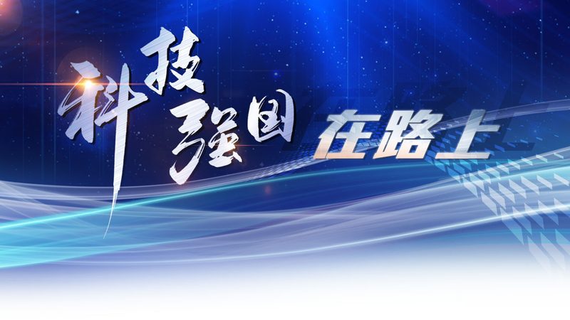 软件测试流程管理工具：构建高效测试体系的利器